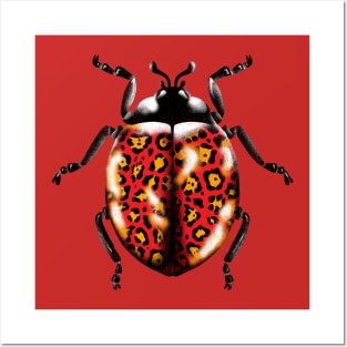 Leody Bug Posters and Art